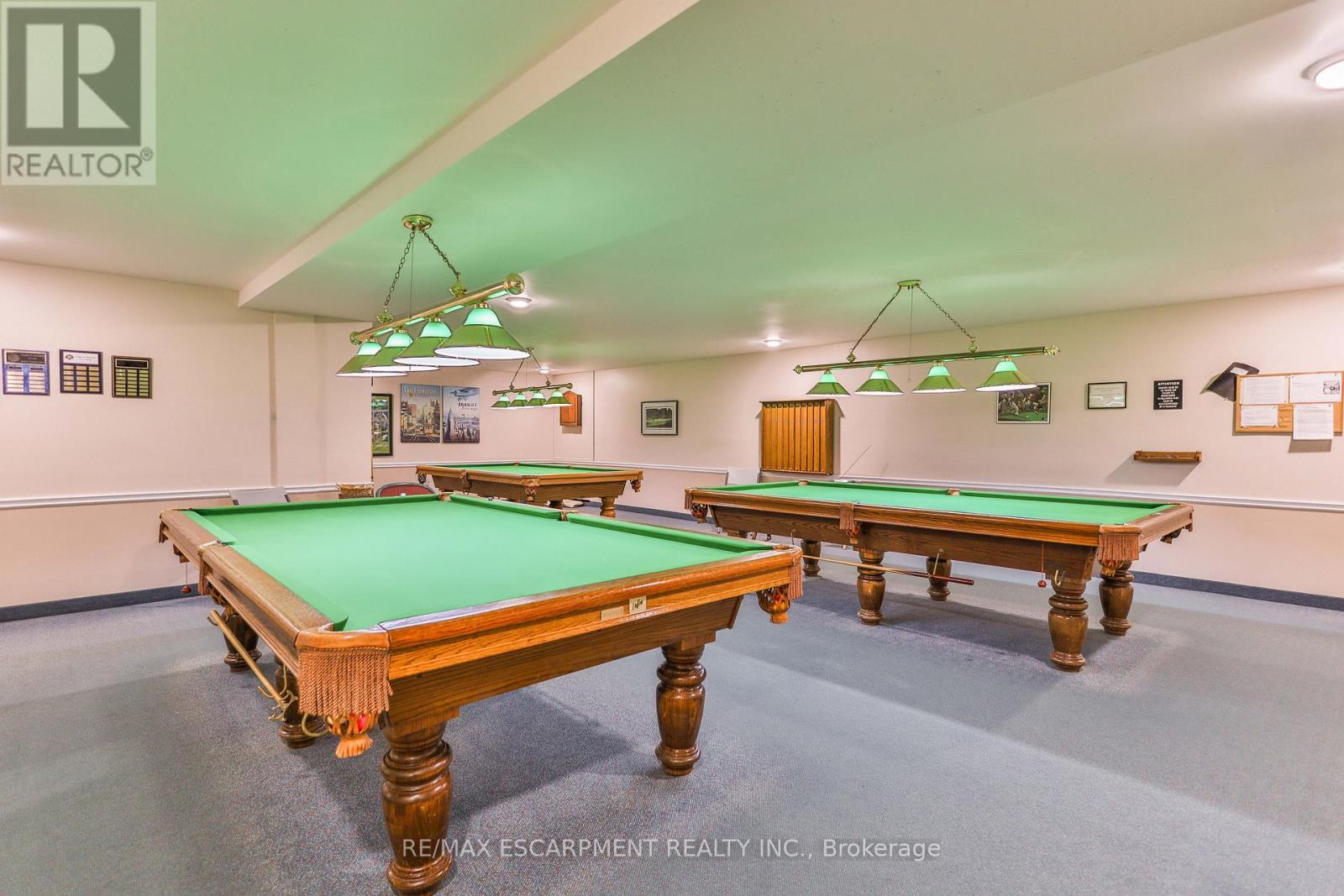 375 Silverbirch Boulevard, Hamilton, Ontario  L0R 1W0 - Photo 43 - X13150306