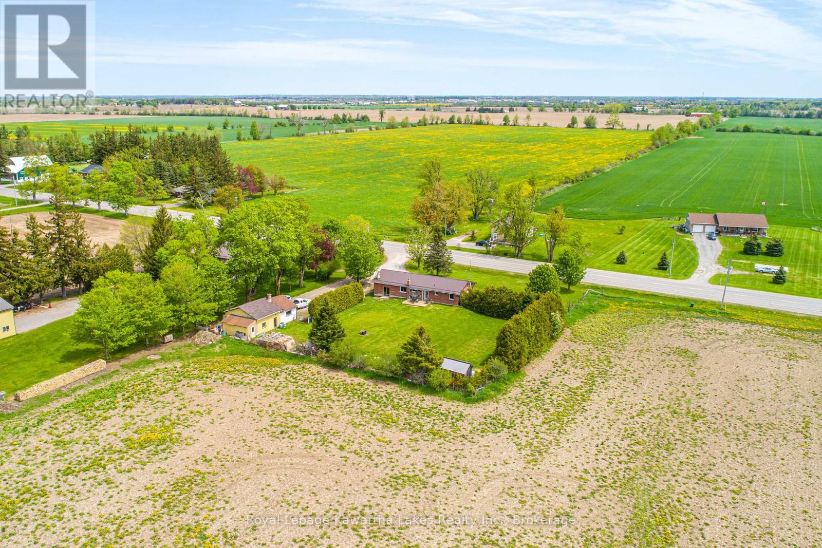 1343 Elm Tree Road, Kawartha Lakes, Ontario  K9V 4R2 - Photo 6 - X13168918