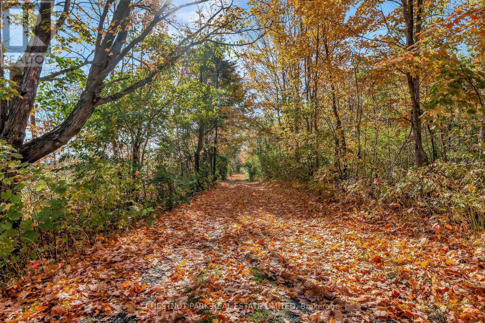 4176 County Road 8, Prince Edward County, Ontario  K0K 2T0 - Photo 24 - X12862104