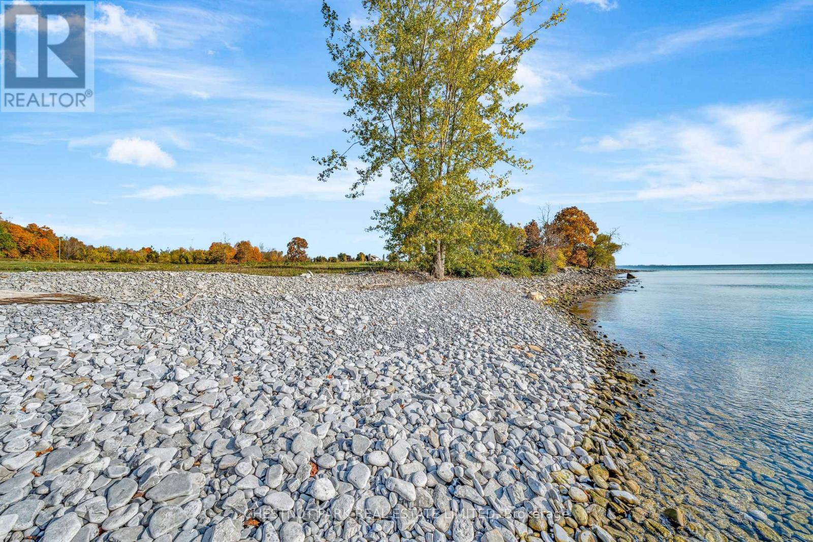 4176 County Road 8, Prince Edward County, Ontario  K0K 2T0 - Photo 3 - X12862104
