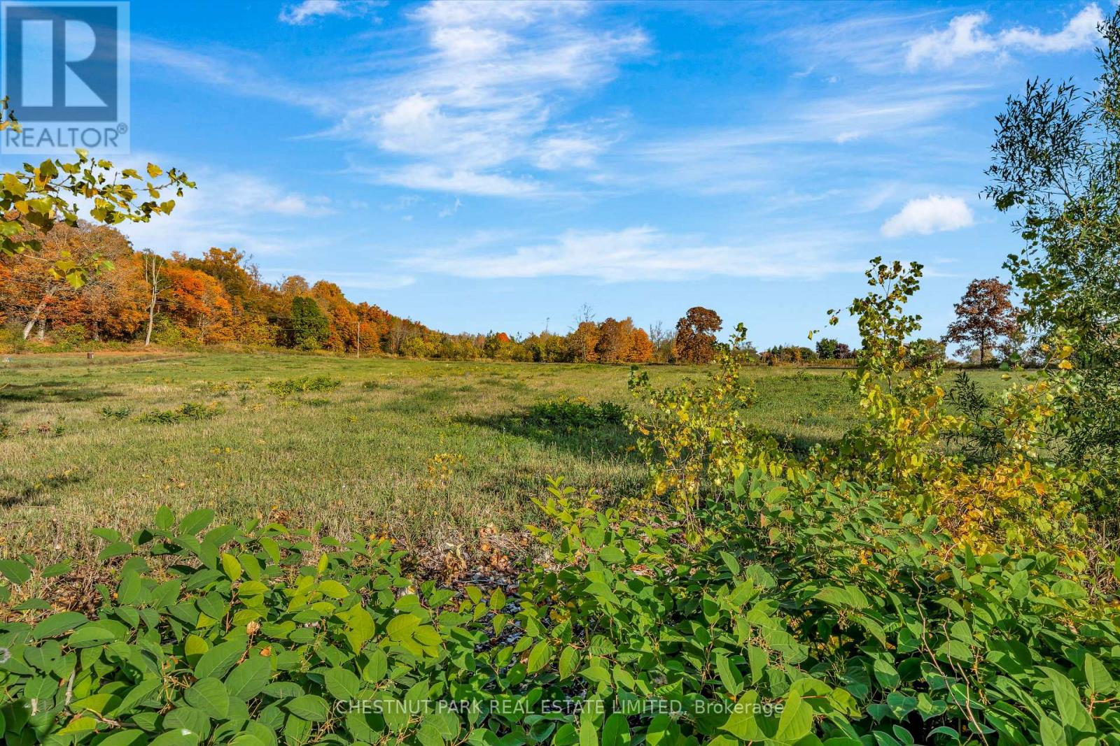 4176 County Road 8, Prince Edward County, Ontario  K0K 2T0 - Photo 29 - X12862104