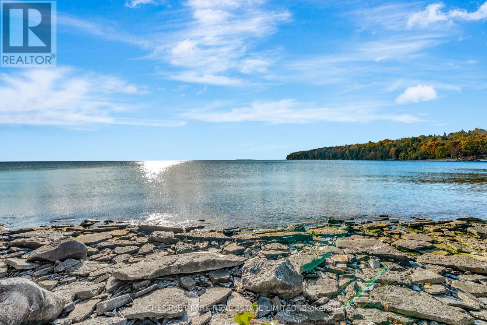 4176 County Road 8, Prince Edward County, Ontario  K0K 2T0 - Photo 4 - X12862104