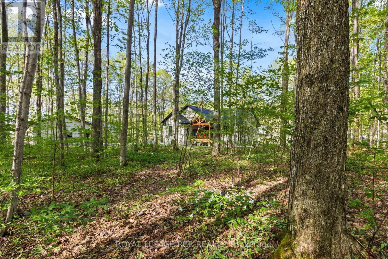 110 Beau Lane, Grey Highlands, Ontario  N0C 1E0 - Photo 44 - X13168760
