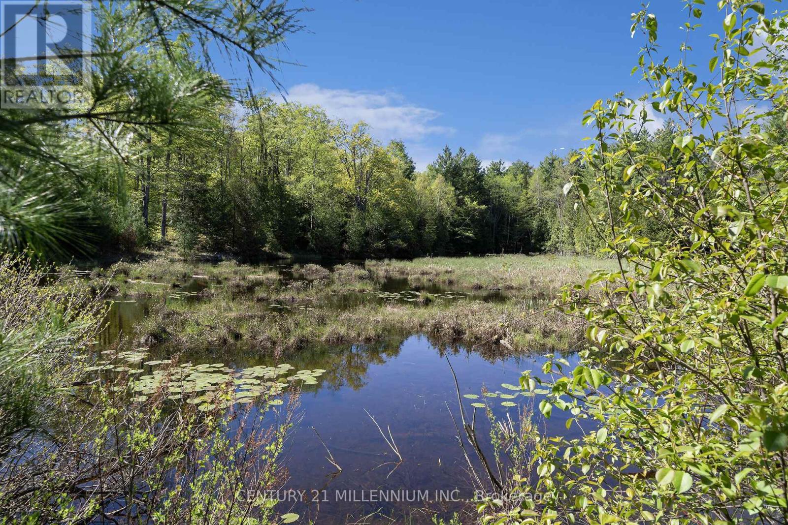5204 Ninth Line, Erin, Ontario  N0B 1T0 - Photo 49 - X13168842