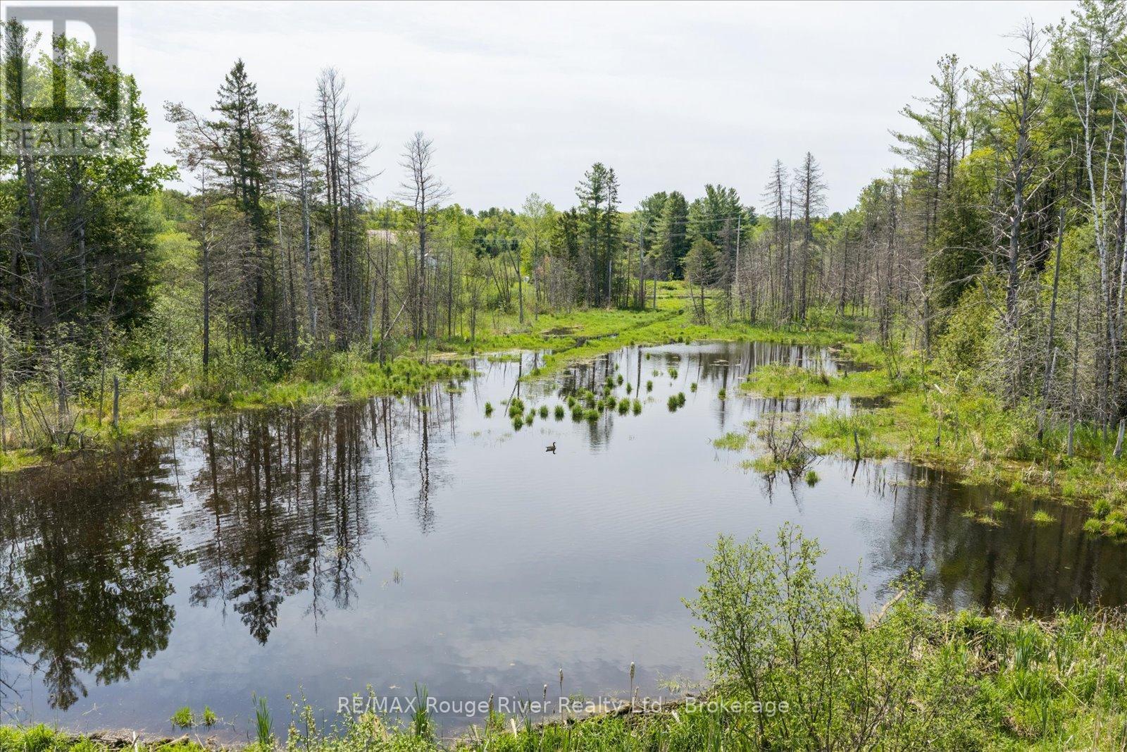 312 Boyd Road, Marmora And Lake, Ontario  K0K 2M0 - Photo 32 - X13169068