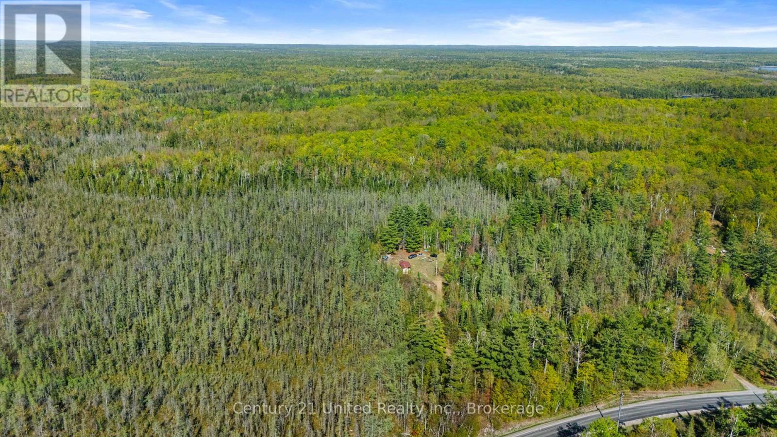 573 Jack Lake Road, North Kawartha, Ontario  K0L 1A0 - Photo 11 - X13169158