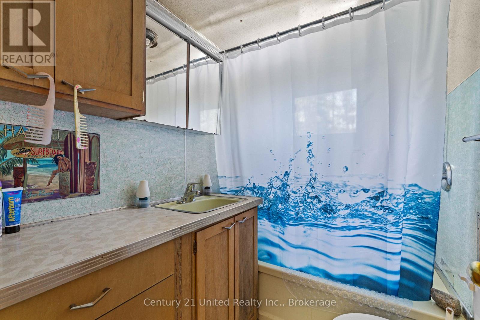 573 Jack Lake Road, North Kawartha, Ontario  K0L 1A0 - Photo 7 - X13169158