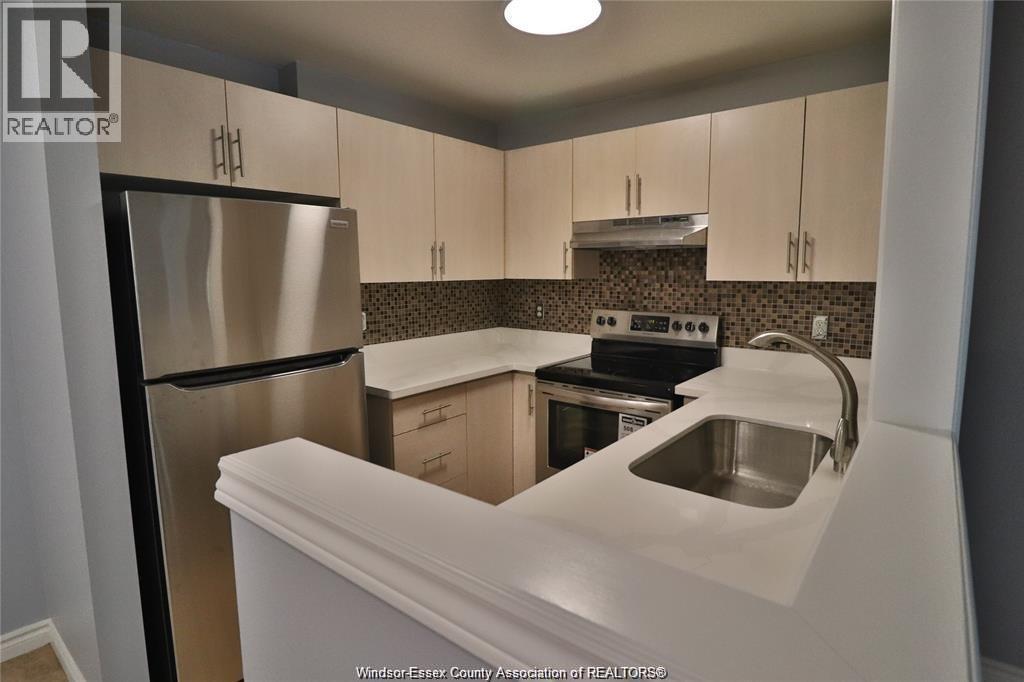 3000 Sandwich Street Unit# 201, Windsor, Ontario  N9C 4G3 - Photo 6 - 26012006