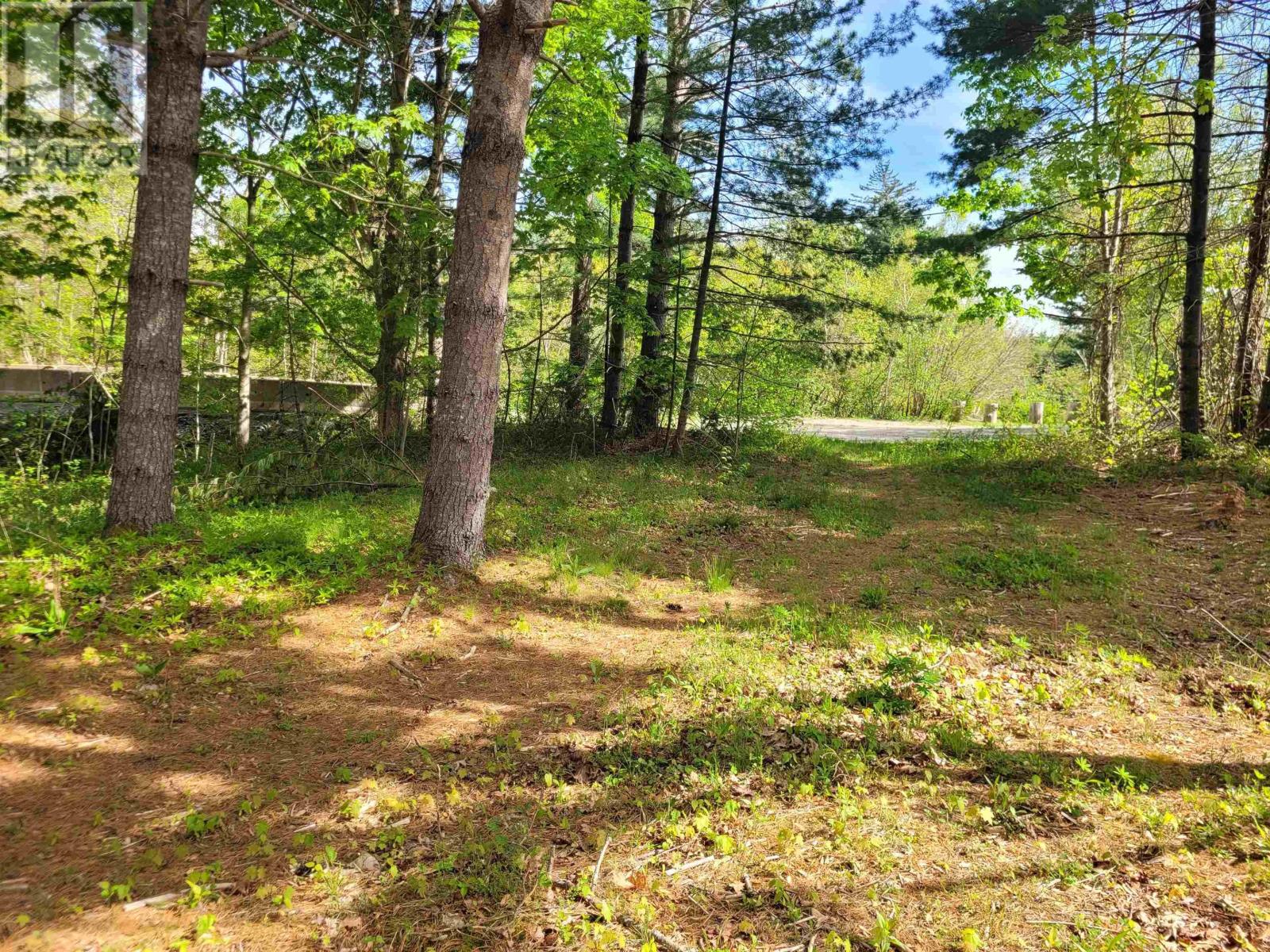 35 Mcdonald Road, White Point, Nova Scotia  B0T 1K0 - Photo 41 - 202603169