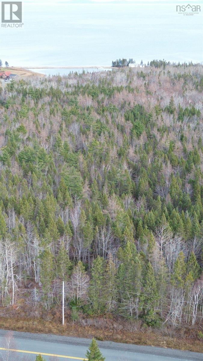 Lot 9 West Bay Highway, Roberta, Nova Scotia  B0E 3B0 - Photo 35 - 202527026