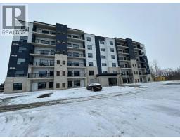 3320 STELLA CRESCENT Unit# 613, Windsor, Ontario