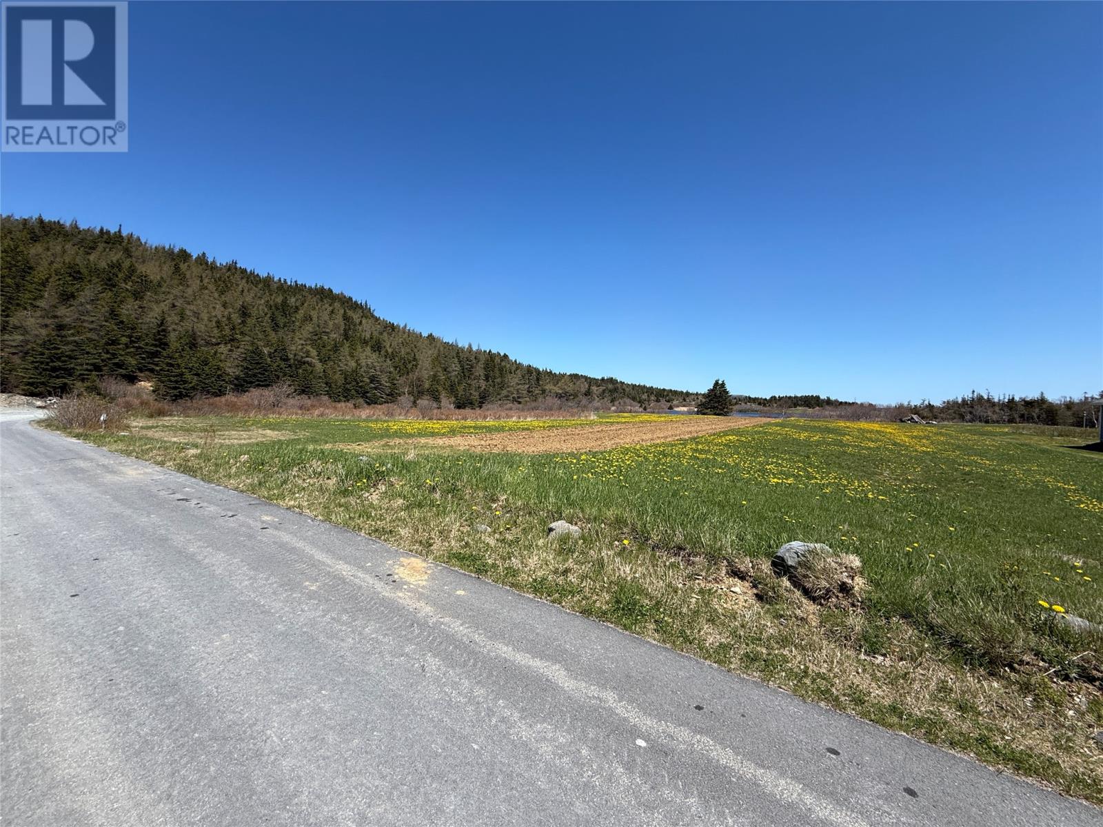 38 North Side Road, Bay Roberts, Newfoundland & Labrador  A0A 1G0 - Photo 15 - 1294095