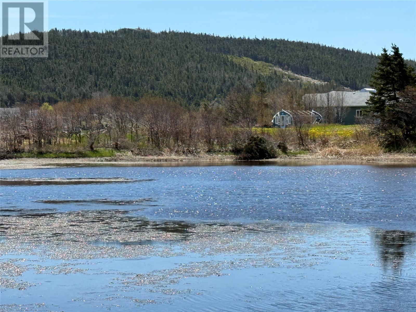 38 North Side Road, Bay Roberts, Newfoundland & Labrador  A0A 1G0 - Photo 16 - 1294095