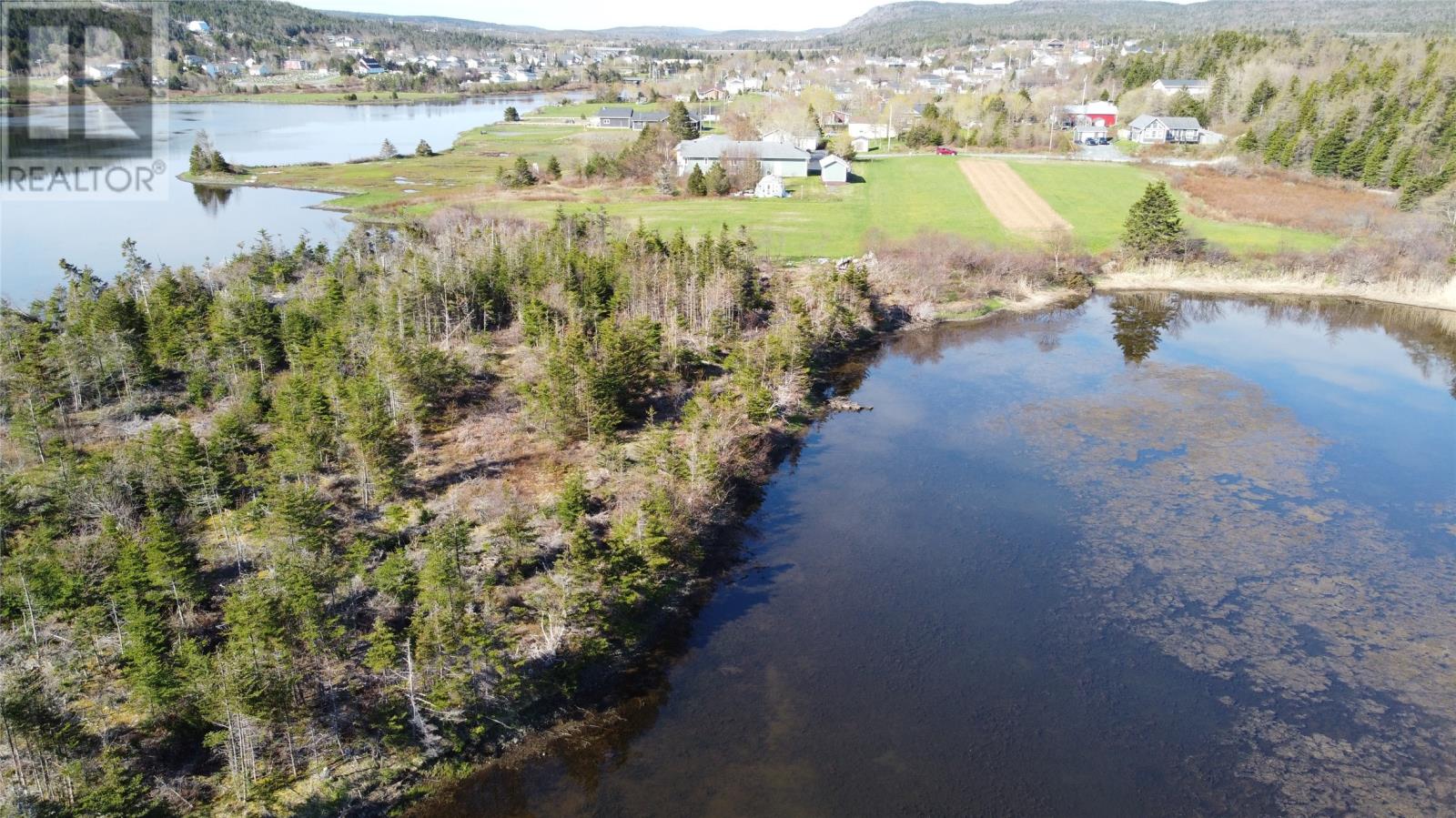 38 North Side Road, Bay Roberts, Newfoundland & Labrador  A0A 1G0 - Photo 8 - 1294095