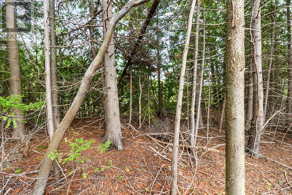 Part 3 Plan 3r-10841 Turner Street, Saugeen Shores, Ontario  N0H 2L0 - Photo 10 - X13169198