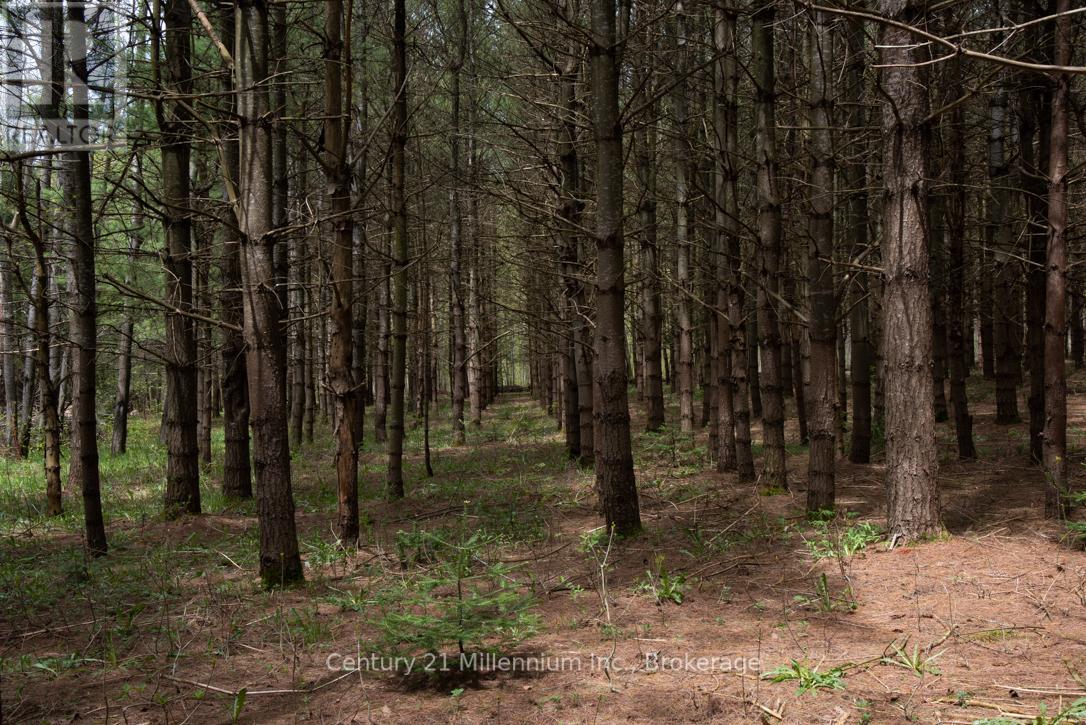 569025 6 Side Road, Blue Mountains, Ontario  N0H 2E0 - Photo 22 - X13169262