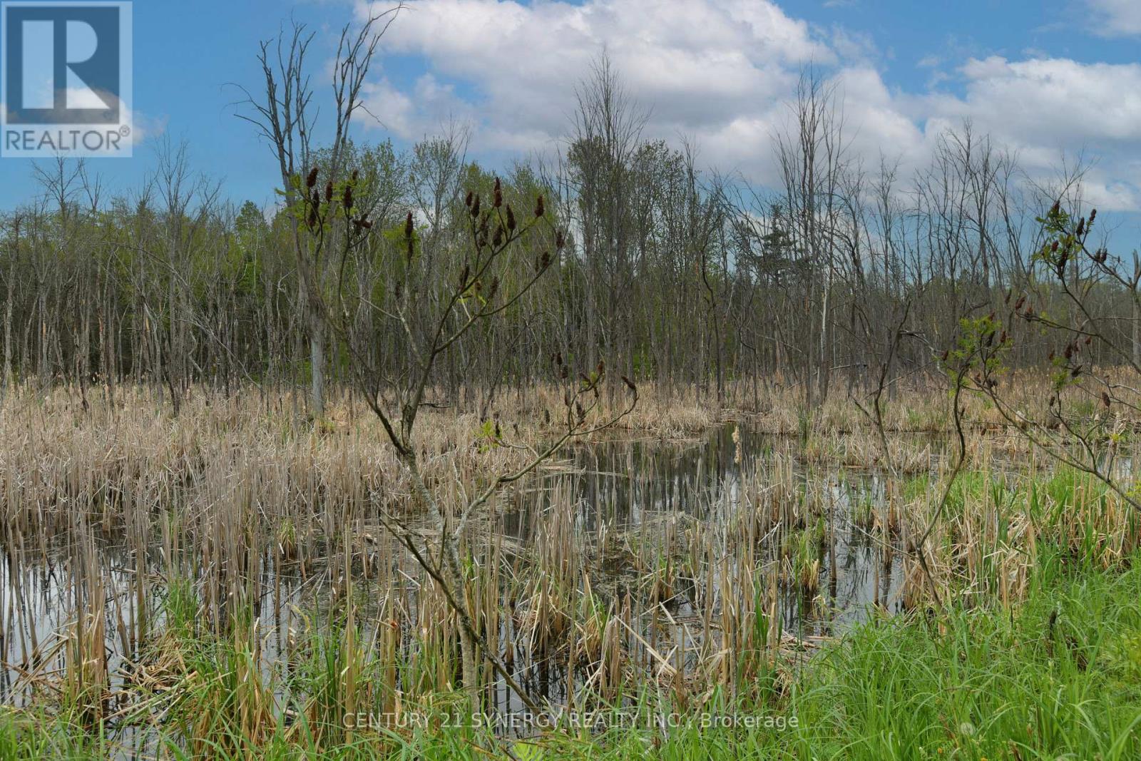 00 Milton Stewart Avenue, Mcnab/braeside, Ontario  K7S 0E1 - Photo 20 - X13169374