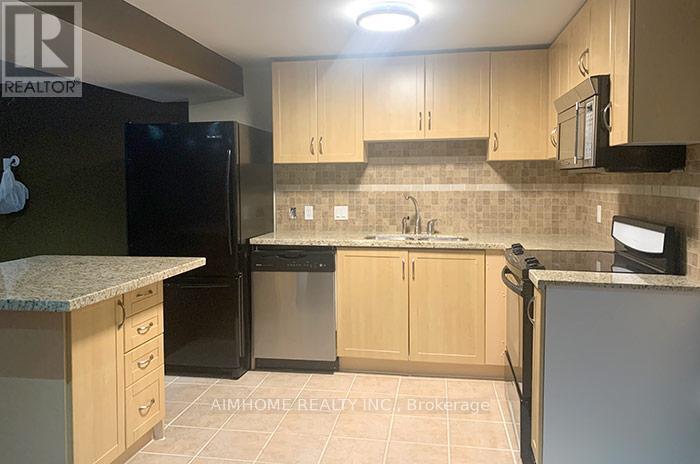 Lower Floor (Basement) - 117 Snively Street, Richmond Hill, Ontario  L4E 4N9 - Photo 10 - N13169406