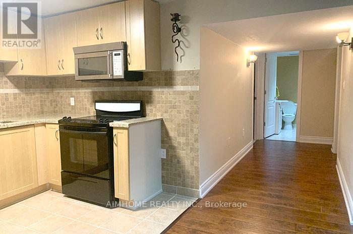 Lower Floor (Basement) - 117 Snively Street, Richmond Hill, Ontario  L4E 4N9 - Photo 5 - N13169406