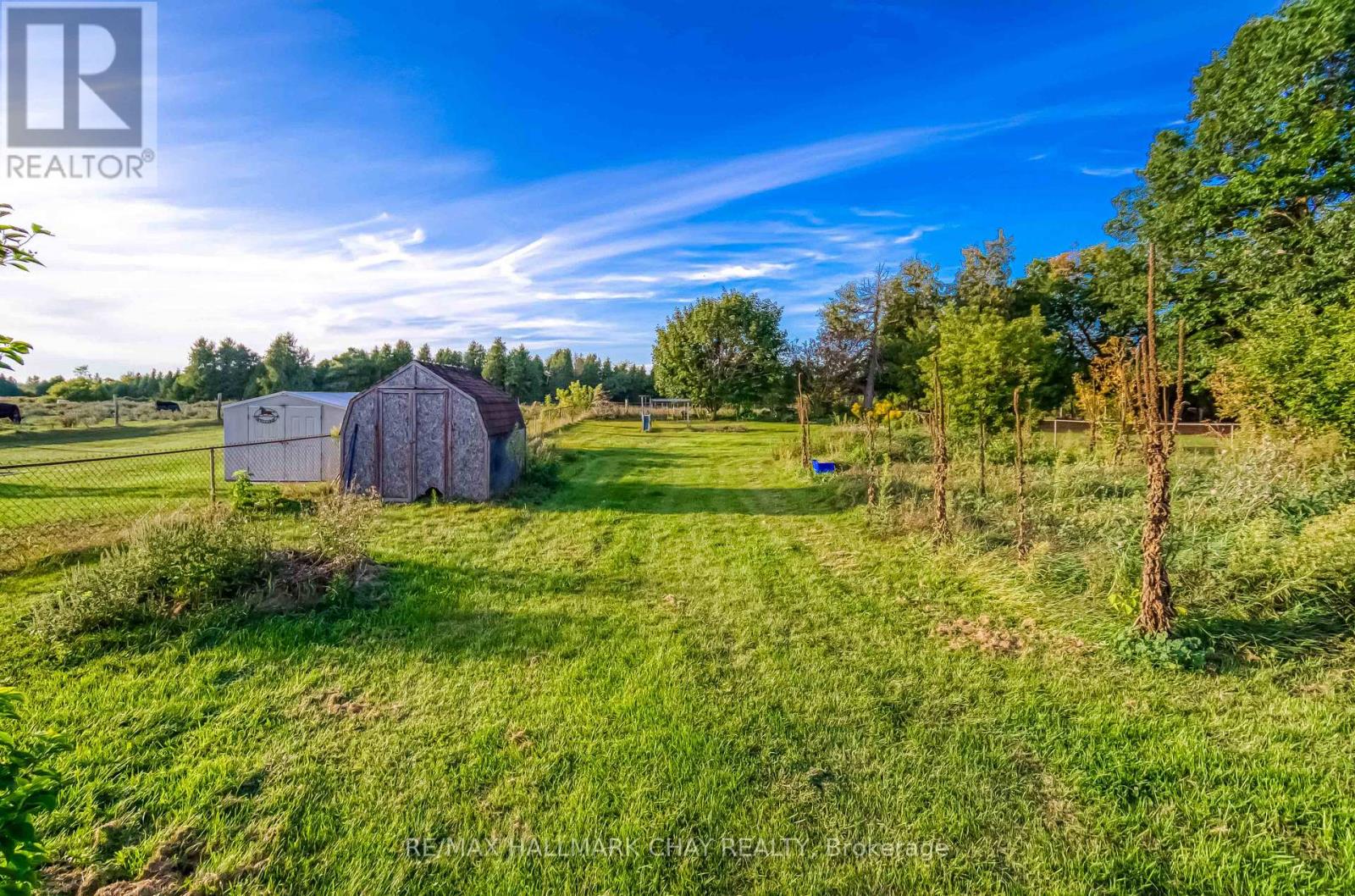 6278 Highway 89, New Tecumseth, Ontario  L9R 1V2 - Photo 25 - N13169464