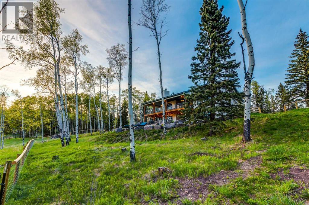 25 Chinook Ridge, Rural Foothills County, Alberta  T0L 1K0 - Photo 39 - A2294011