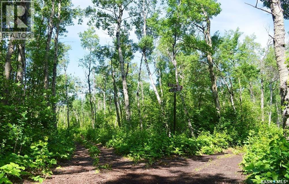 Lot 16 Block 10, Lake Lenore Rm No. 399, Saskatchewan  S0K 3V0 - Photo 19 - SK037011