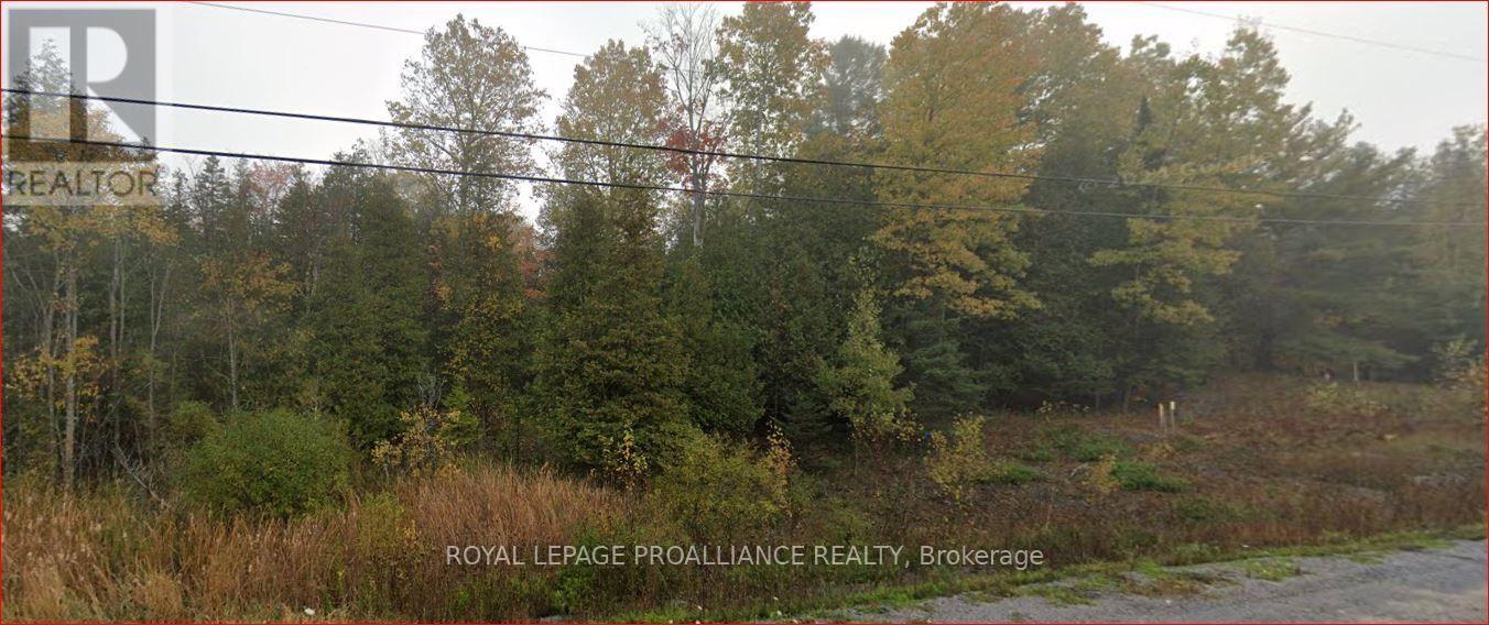 18362 HIGHWAY 62, Tudor & Cashel, Ontario