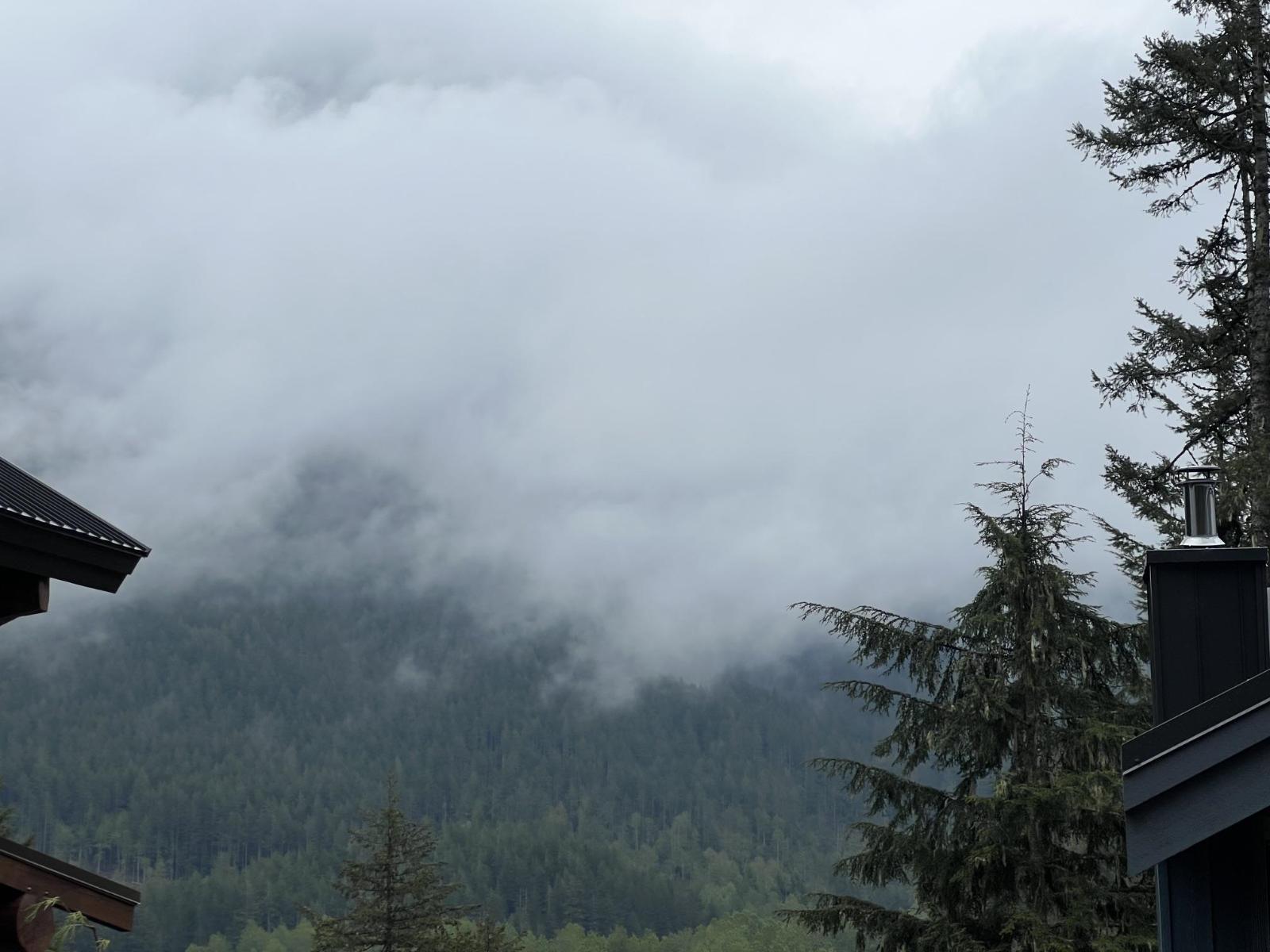 14701 Parkview Avenue, Sunshine Valley, Sunshine Valley, British Columbia  V0X 1L5 - Photo 3 - R3127324