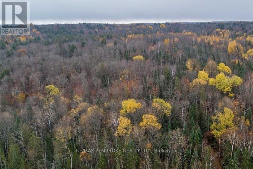 27681 Highway 60 Highway, South Algonquin, Ontario  K0J 2M0 - Photo 1 - X13169770