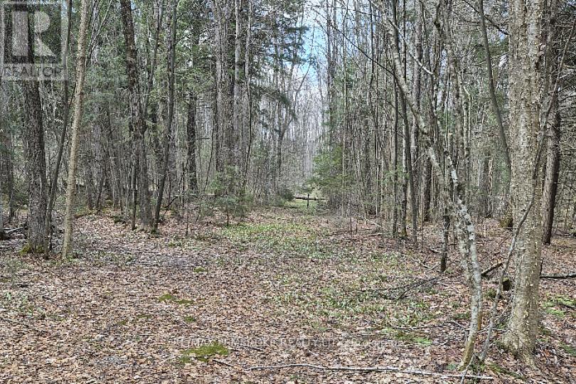 27681 Highway 60 Highway, South Algonquin, Ontario  K0J 2M0 - Photo 12 - X13169770