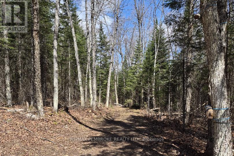 27681 Highway 60 Highway, South Algonquin, Ontario  K0J 2M0 - Photo 13 - X13169770