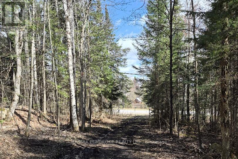 27681 Highway 60 Highway, South Algonquin, Ontario  K0J 2M0 - Photo 14 - X13169770