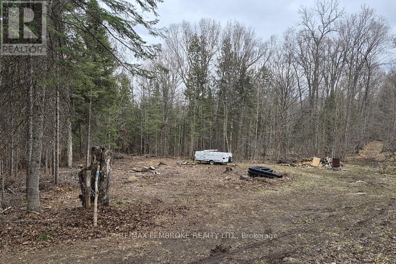 27681 Highway 60 Highway, South Algonquin, Ontario  K0J 2M0 - Photo 15 - X13169770