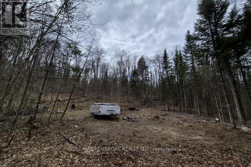 27681 Highway 60 Highway, South Algonquin, Ontario  K0J 2M0 - Photo 16 - X13169770