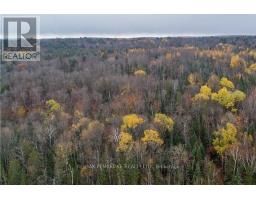 27681 HIGHWAY 60 HIGHWAY, South Algonquin, Ontario