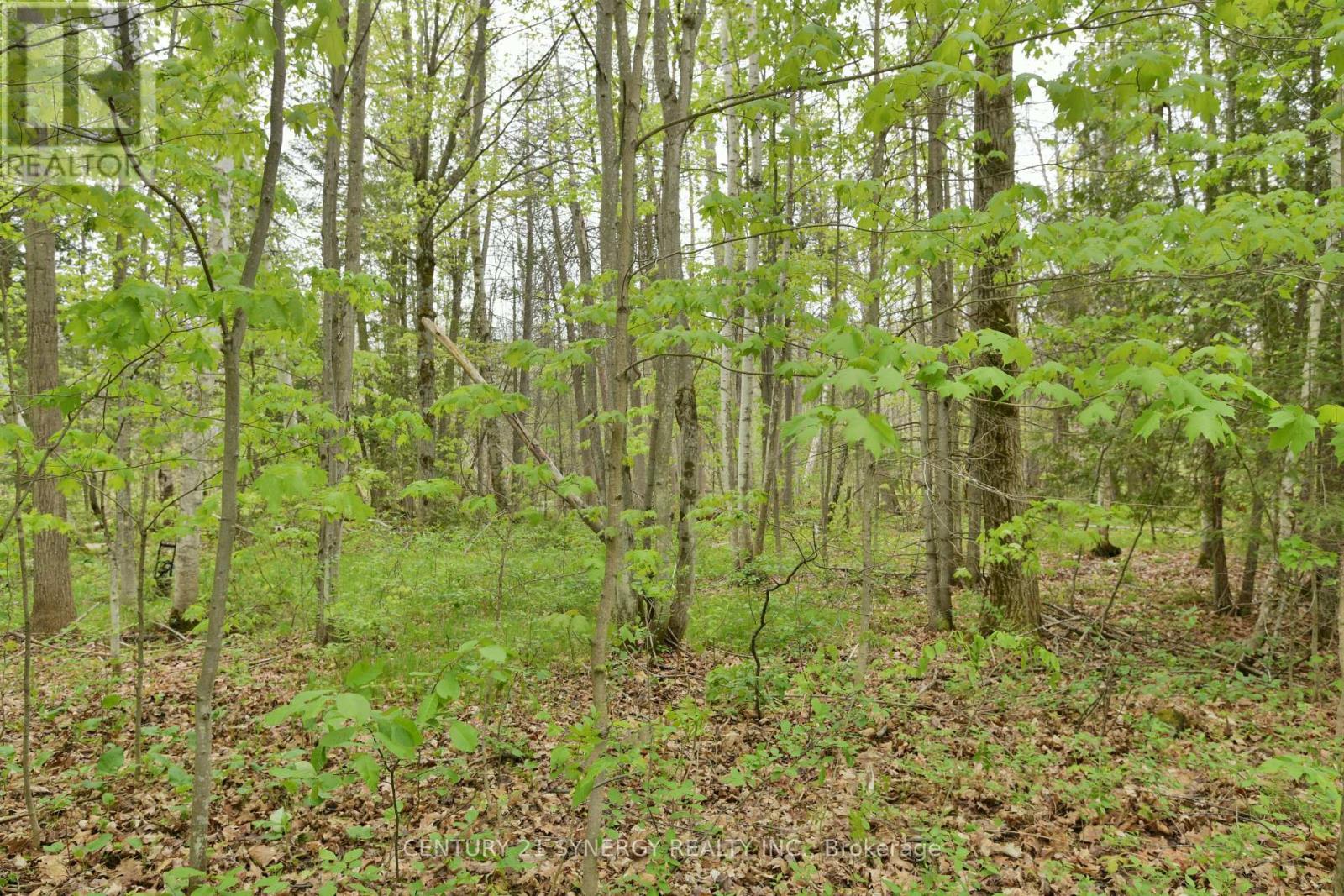 00 Milton Stewart Avenue, Mcnab/braeside, Ontario  K7S 0E1 - Photo 15 - X13169766