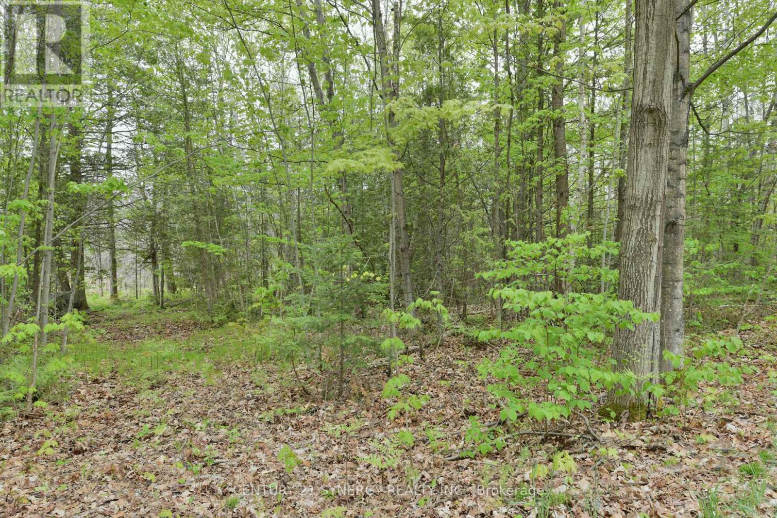 00 Milton Stewart Avenue, Mcnab/braeside, Ontario  K7S 0E1 - Photo 16 - X13169766