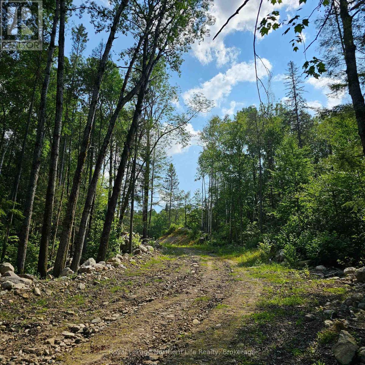 1267 Snake Creek Road, Mattawan, Ontario  P0H 1V0 - Photo 15 - X13169846