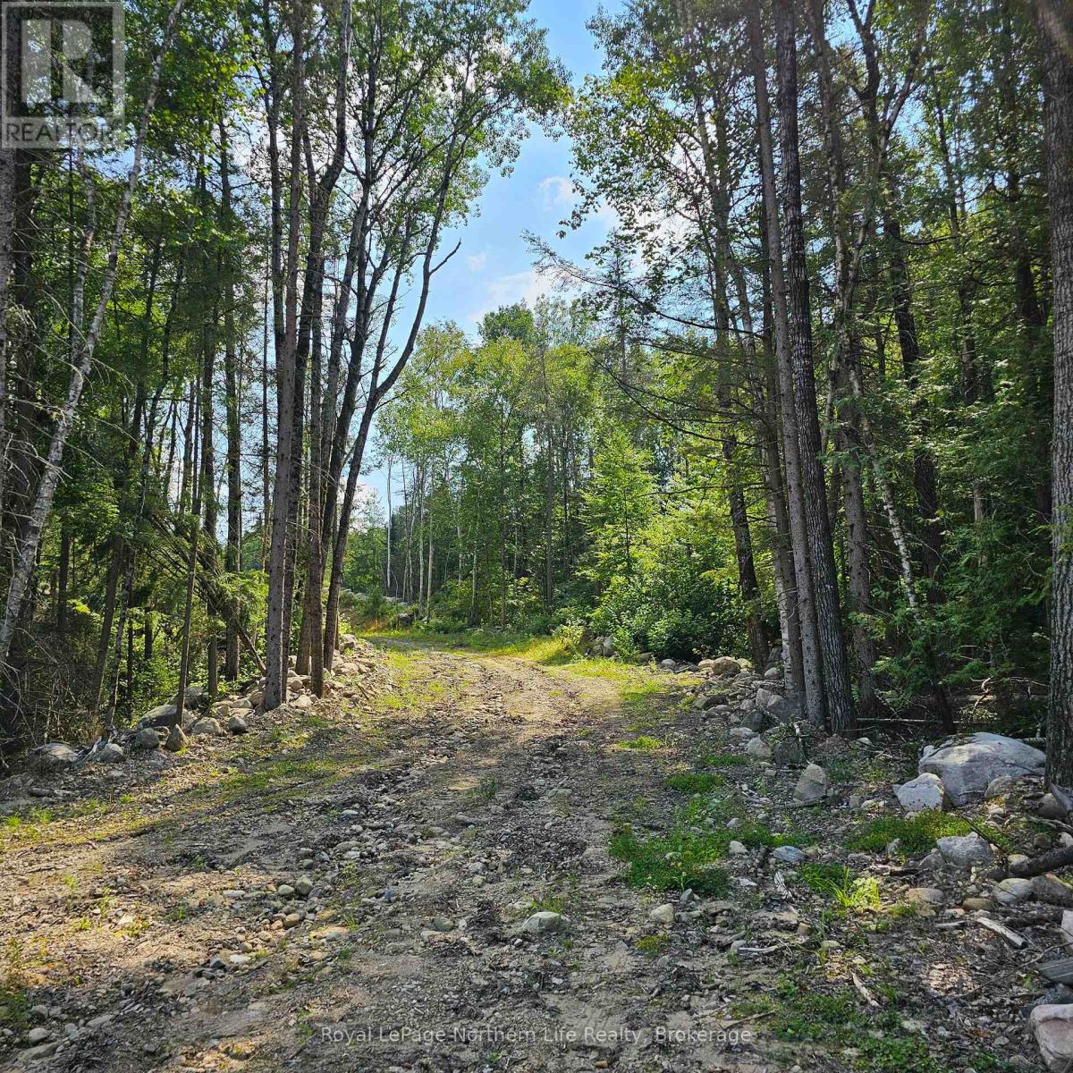 1267 Snake Creek Road, Mattawan, Ontario  P0H 1V0 - Photo 8 - X13169846