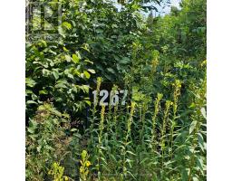 1267 SNAKE CREEK ROAD, Mattawan, Ontario