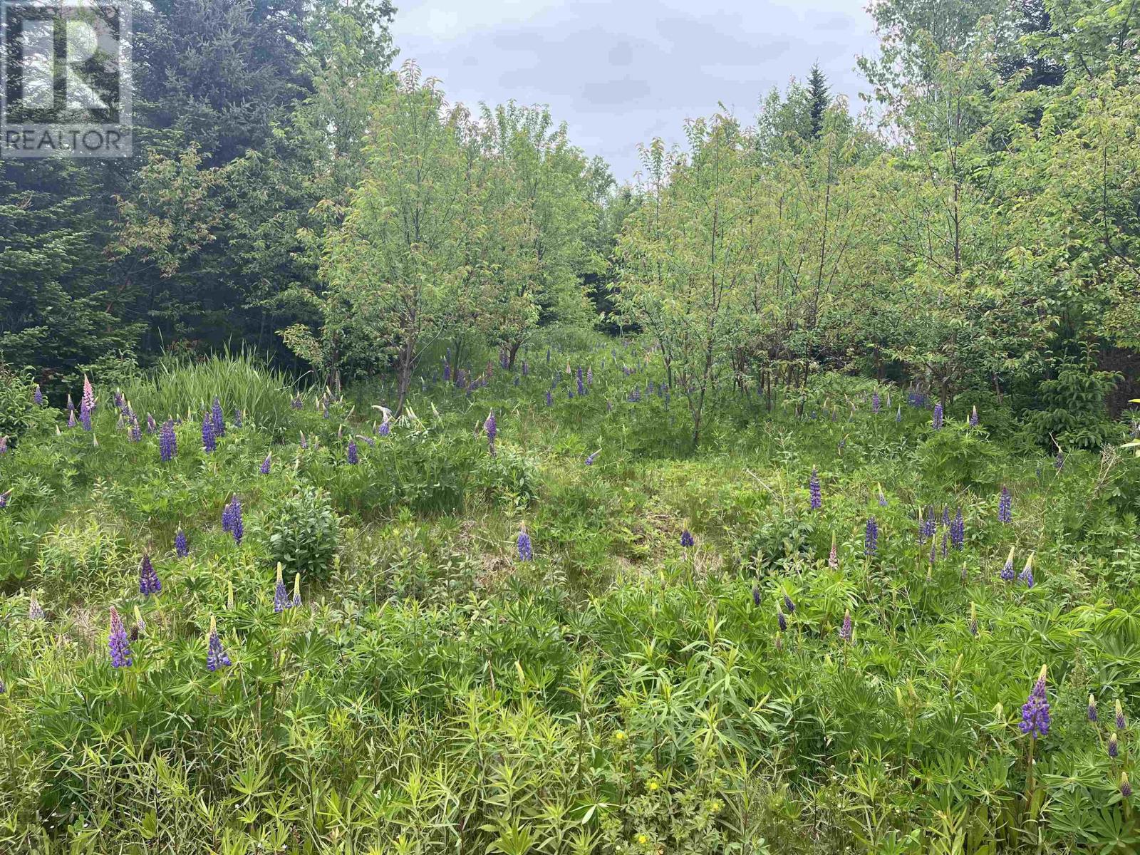 0 Driftwood Lane, stanley bridge, Prince Edward Island