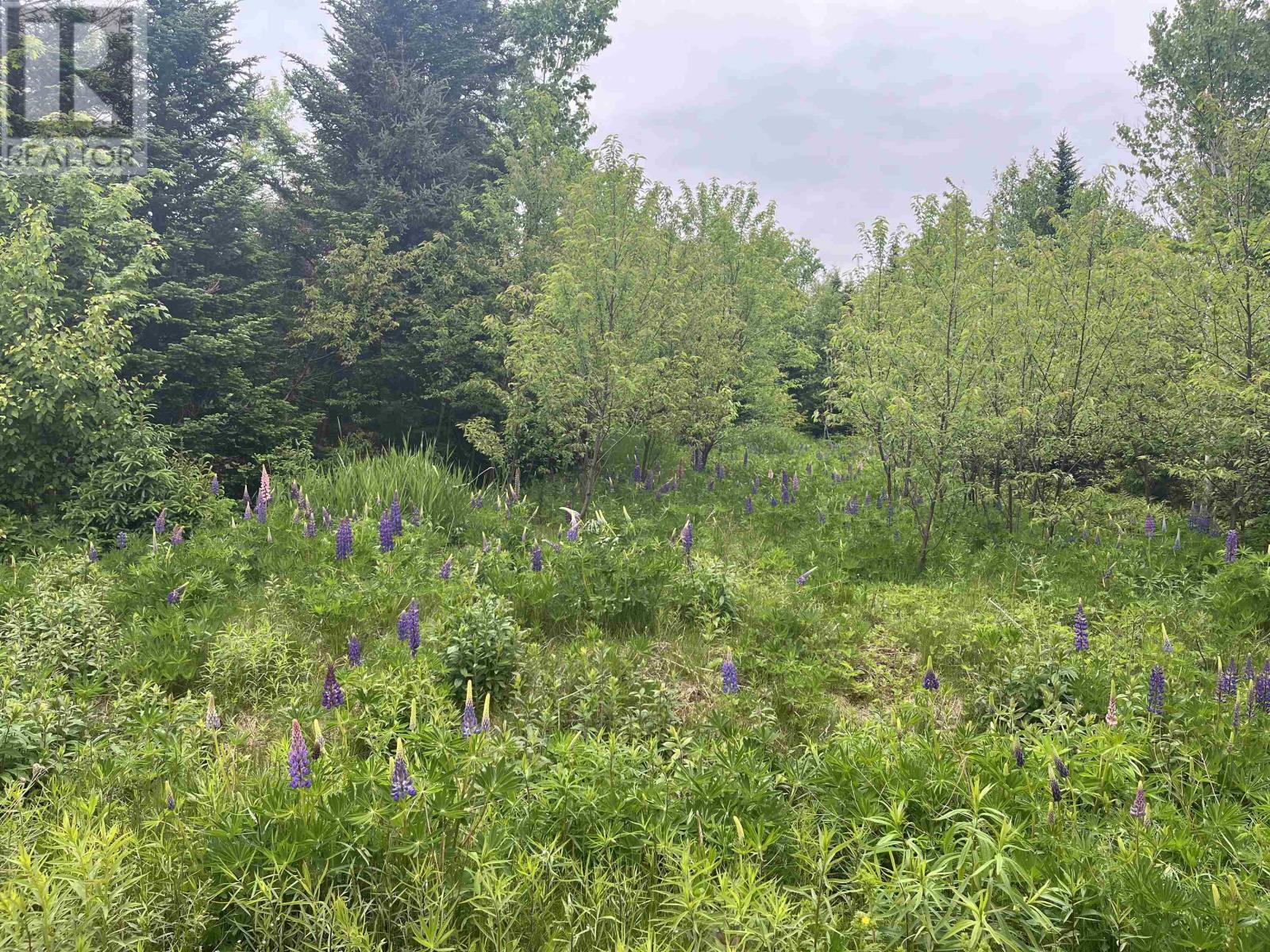 0 Driftwood Lane, Stanley Bridge, Prince Edward Island  C0A 1N0 - Photo 3 - 202612035