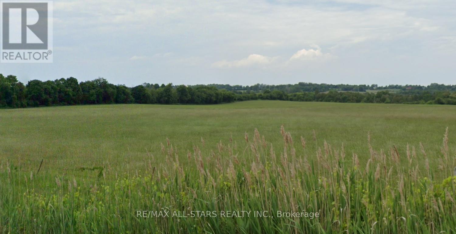 14629 Regional Road, Uxbridge, Ontario  L9P 1R2 - Photo 4 - N13169888