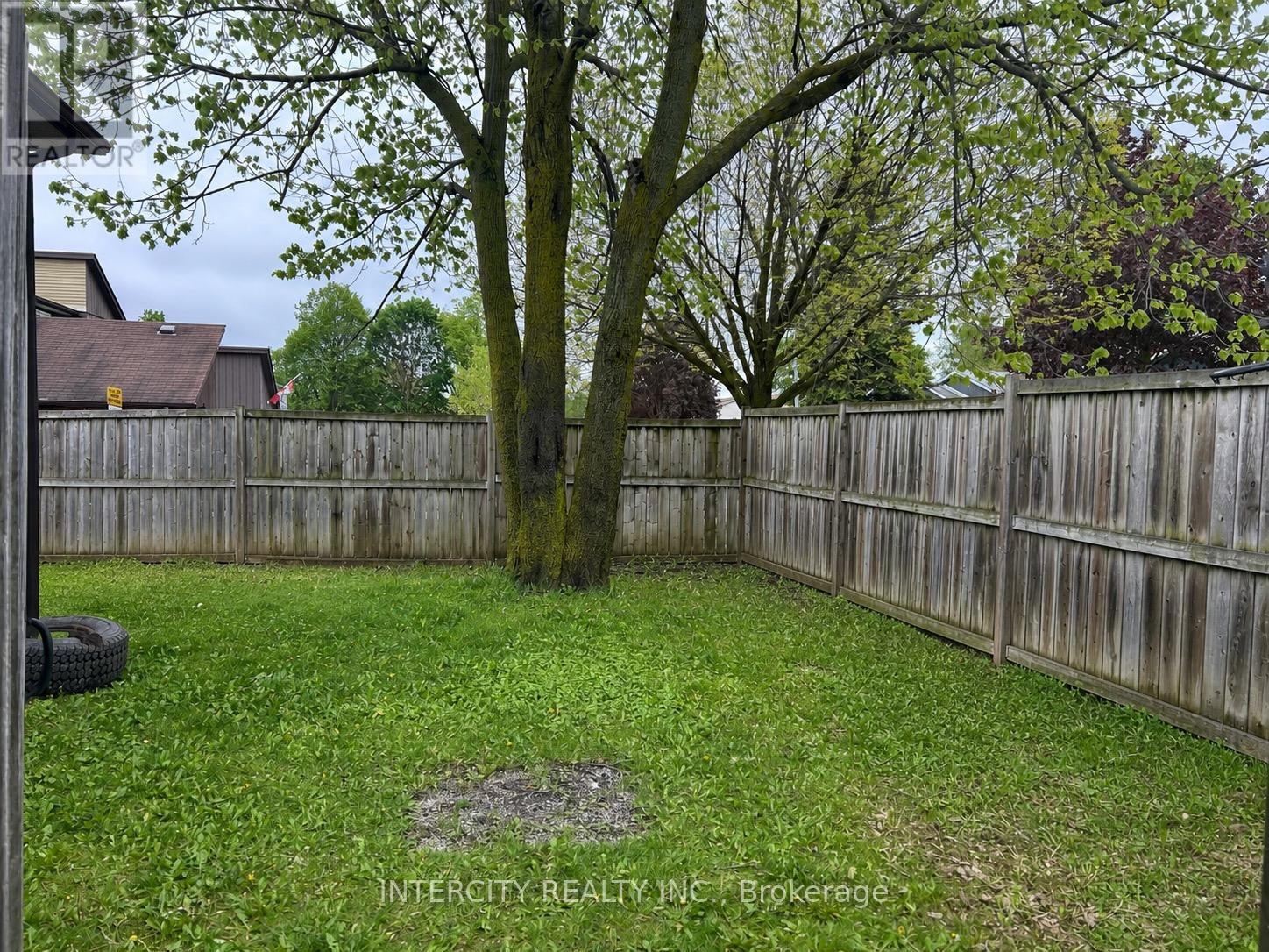 Lower - 183 Collings Avenue, Bradford West Gwillimbury, Ontario  L3Z 1W2 - Photo 8 - N13169982