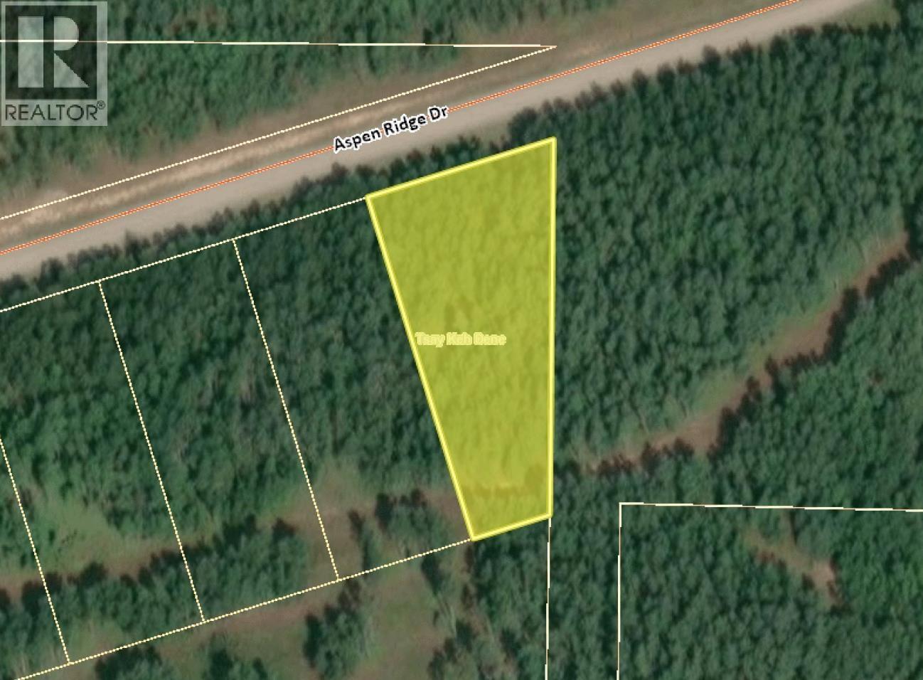 Lot 1 Aspen Ridge Drive, Hudsons Hope, British Columbia  V0C 1V0 - Photo 2 - R3127313