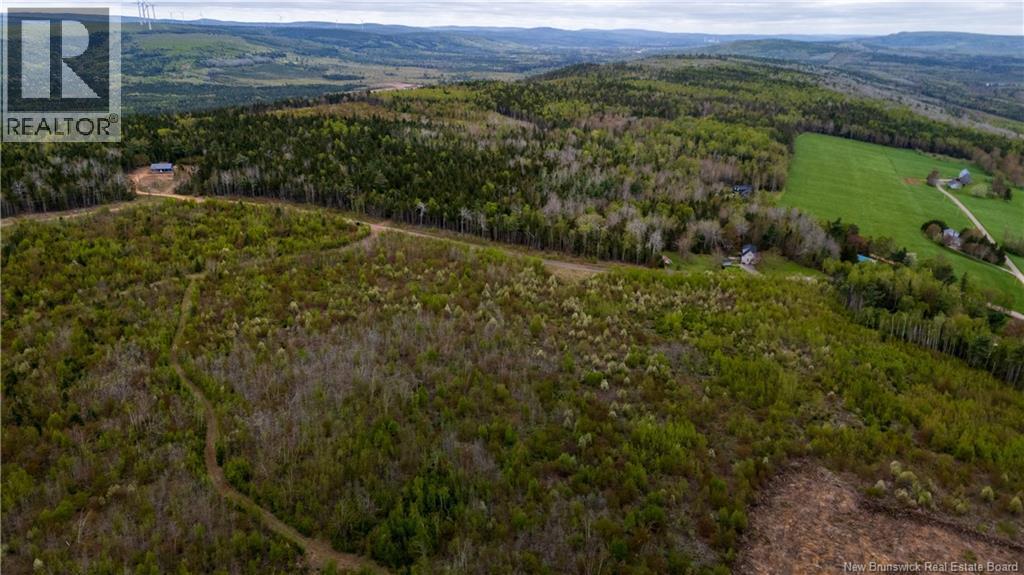 Lot 37 Davidson Road, Anagance, New Brunswick  E4Z 1E1 - Photo 5 - NB140083