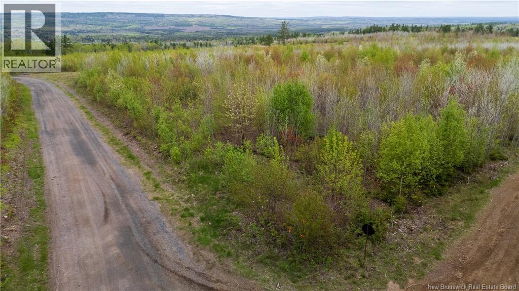 Lot 38 Davidson Road, Anagance, New Brunswick  E4Z 1E1 - Photo 10 - NB140082