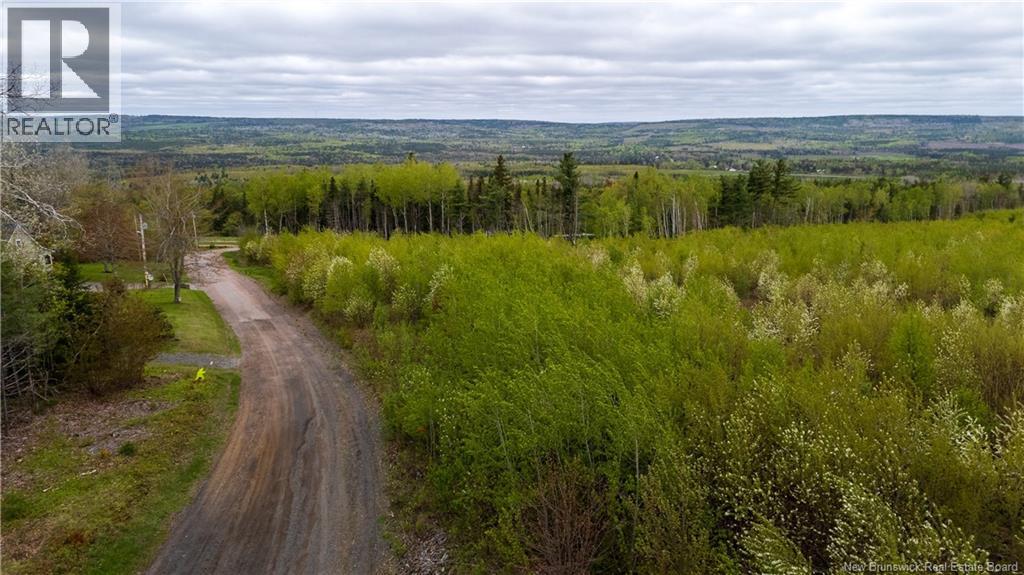 Lot 38 Davidson Road, Anagance, New Brunswick  E4Z 1E1 - Photo 15 - NB140082
