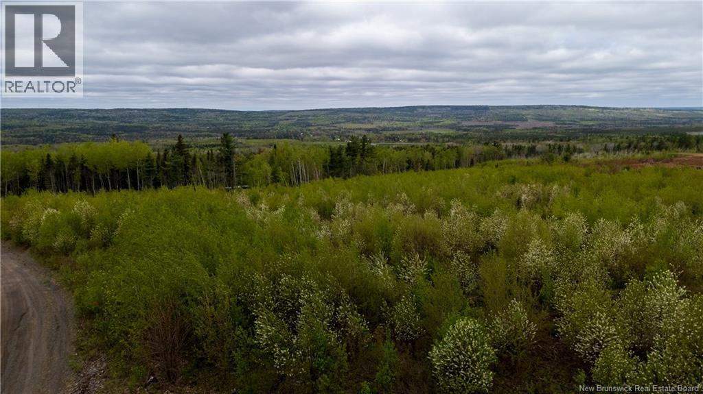 Lot 38 Davidson Road, Anagance, New Brunswick  E4Z 1E1 - Photo 9 - NB140082