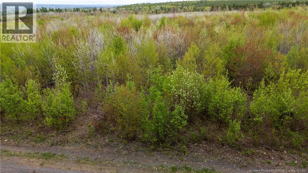 Lot 39 Davidson Road, Anagance, New Brunswick  E4Z 1E1 - Photo 12 - NB140081